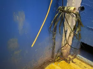 Partida entre Avaí e Atlético-GO não terá algumas câmeras do VAR