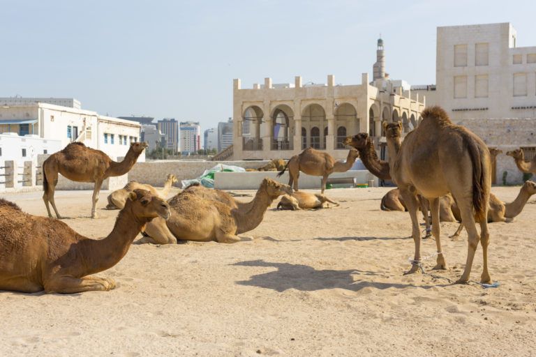 Há 14 dias da Copa, o Planeta Bola aguarda para conhecer os mistérios do Catar