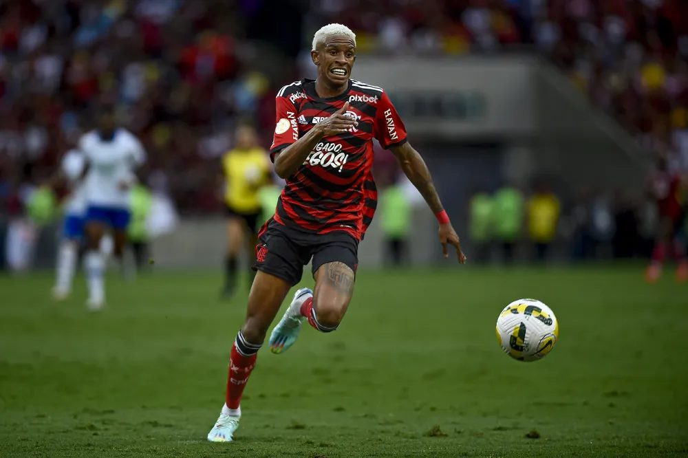 FLAMENGO ANDRE Copia