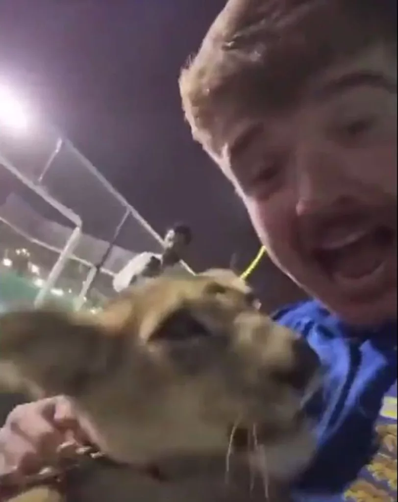 Em busca de cerveja, torcedores da Inglaterra acabam brincando com filhote de leão em palácio