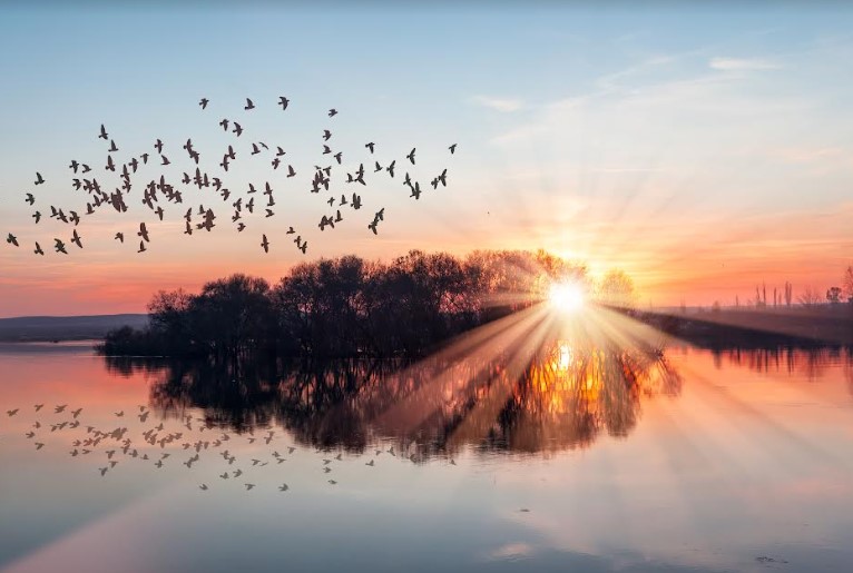 Com recorde de desmatamento na Amazônia, crianças clamam: “Salve o planeta” e “Cuida da Terra”