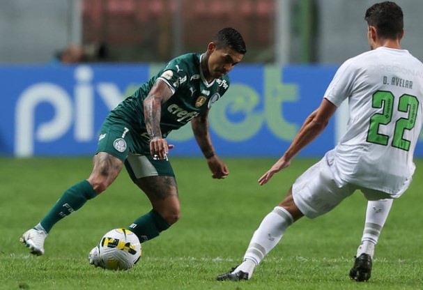 Palmeiras x América-MG - Verdão vai levantar a taça do Brasileiro no Allianz
