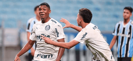 Libertadores: capixabas estão ansiosos para a partida entre Flamengo x  Palmeiras - Louca por Esportes