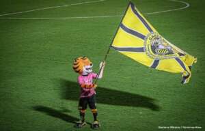 Novorizontino tem melhor posição de sua história no ranking de clubes após ficar na Série B