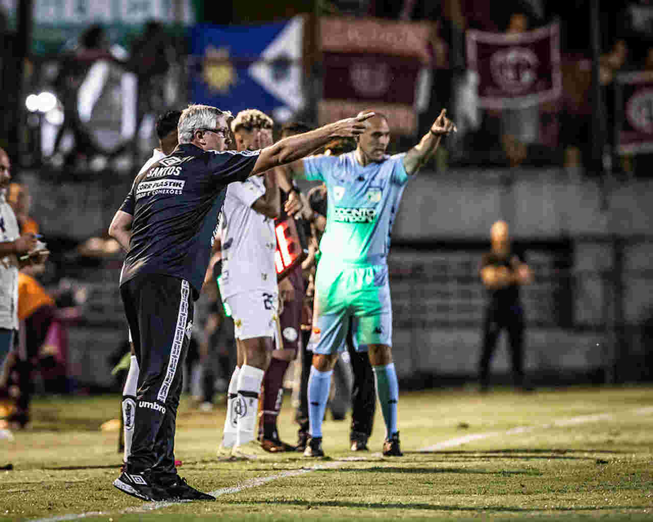 Odair Hellman diz entender frustracao da torcida do Santos Easy Resize.com