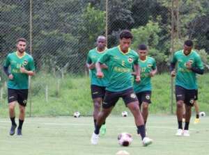 São Bernardo x Santos - Tigre tenta se manter invicto no Paulistão