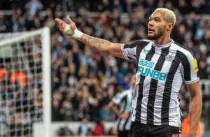 Inglês: Brasileiro comemora volta de Newcastle à Liga dos Campeões