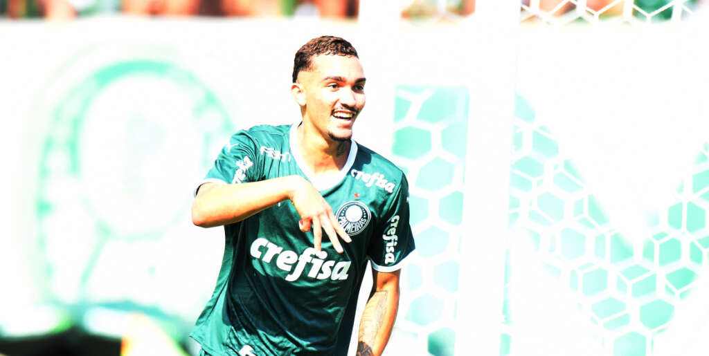 palmeiras 11