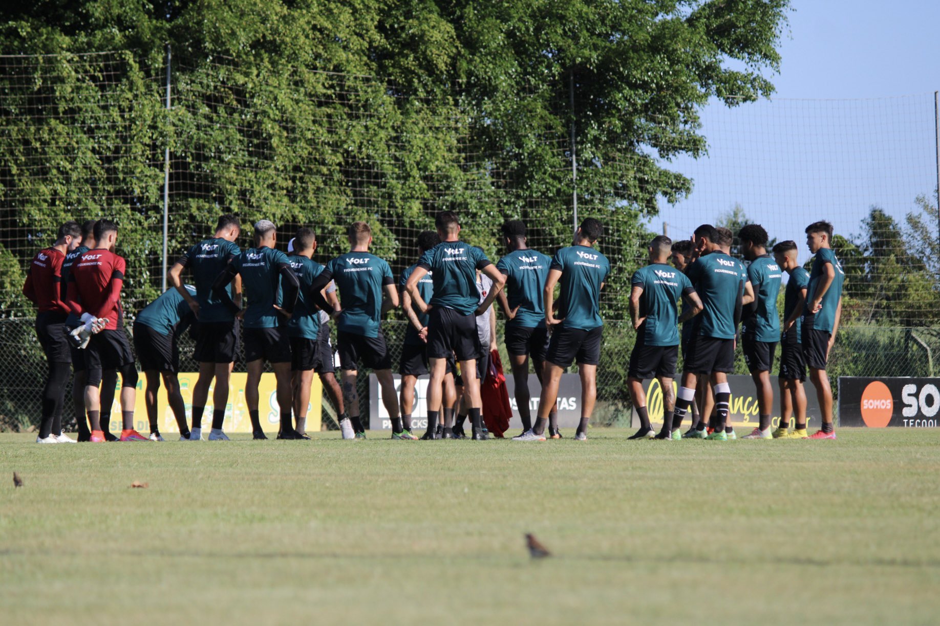 Treino do Figueirense