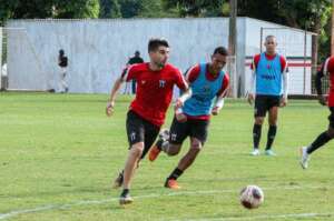 Paulistão: Tomás pode estrear pelo Botafogo na Copa do Brasil