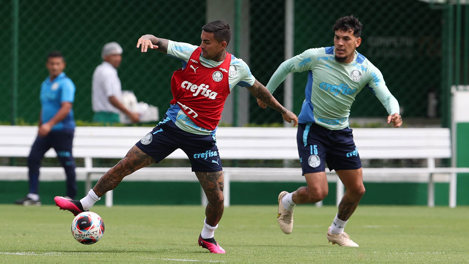 Palmeiras se prepara para a final do Paulistão