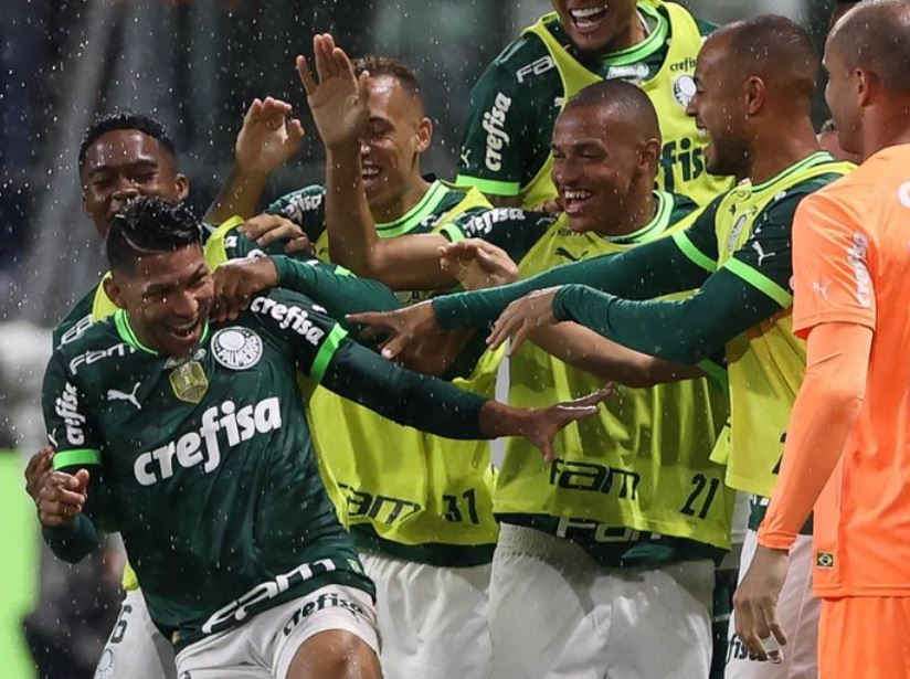 palmeiras