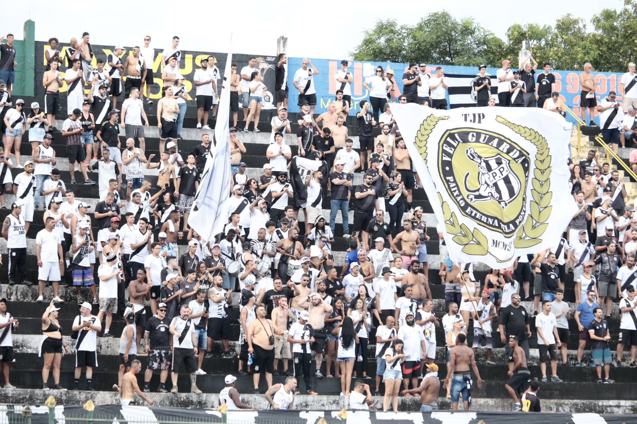 Ponte Preta parcial ingressos