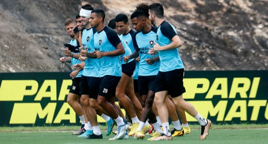 Botafogo está pressionado por resultados na temporada