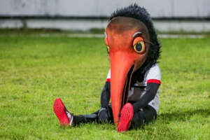 Pernambucano: Mascote do Íbis é punido por confusão com Jael