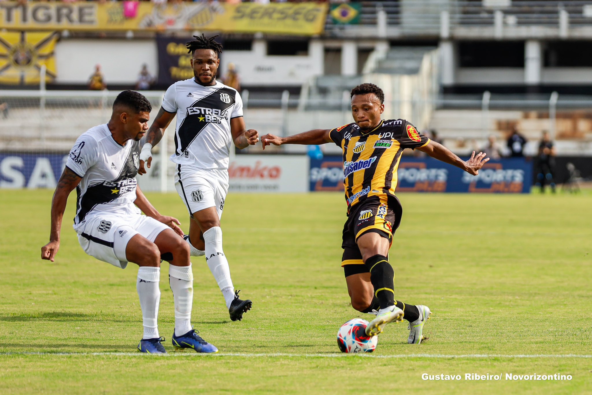 Botafogo de Futebol e Regatas - De olho no acesso