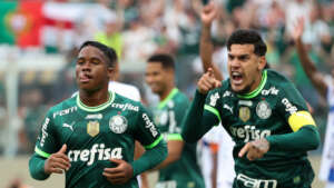 Súmula relata objetos atirados em campo por palmeirenses na derrota para o Água Santa