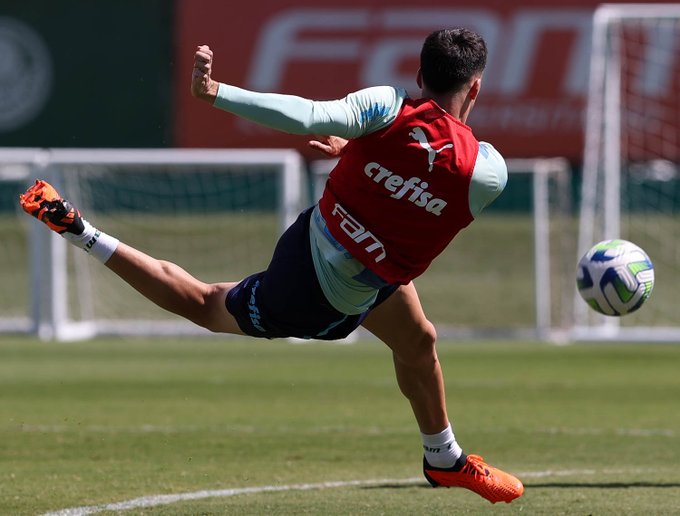 Piquerez Palmeiras 1