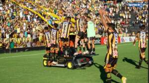 Paulista A2: Confira as fotos da festa do acesso do Novorizontino!