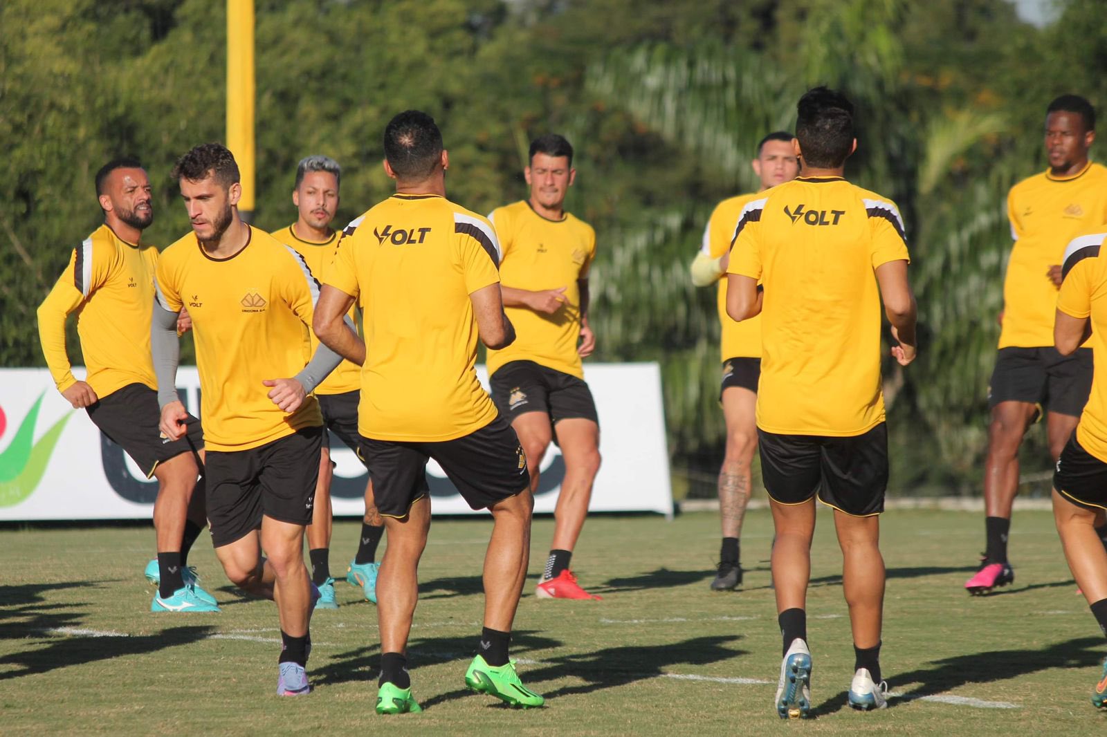 Criciuma Treino