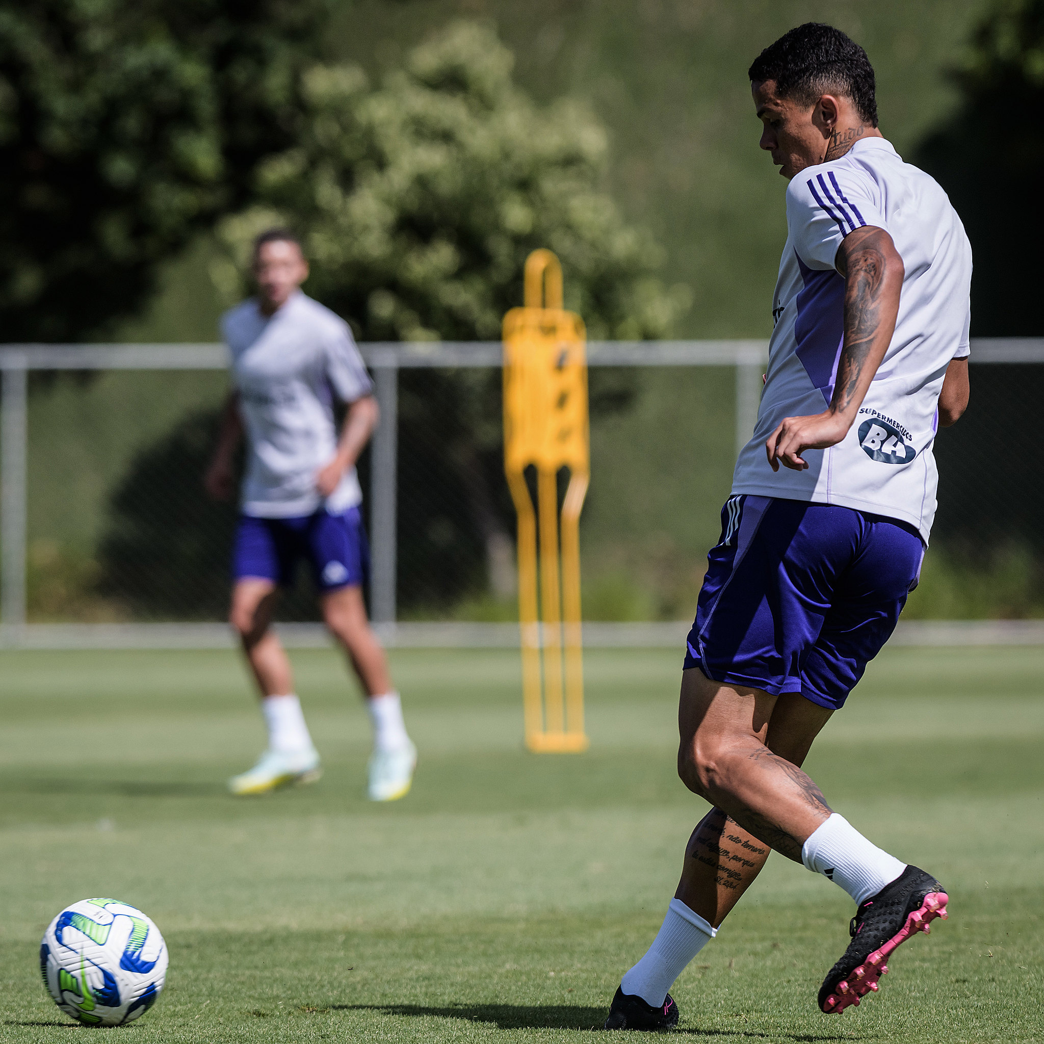 Cruzeiro Brasileirao