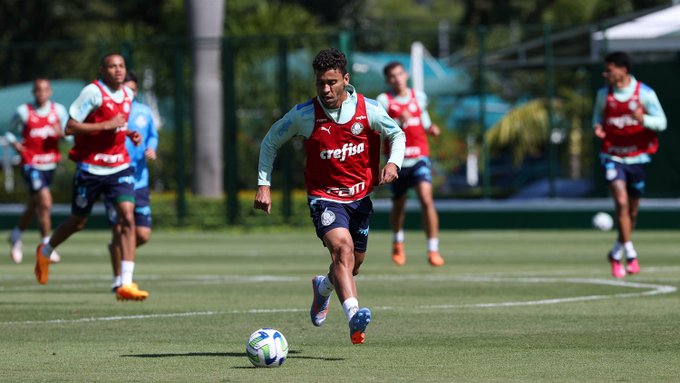 Marcos Rocha Palmeiras