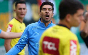 Abel reclama de cartões e critica arbitragem em jogo do Palmeiras; súmula aponta ofensa