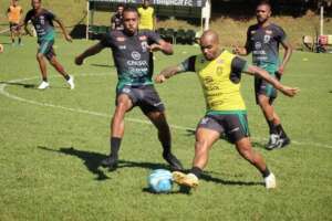 Série D: Maringá entra em reta final de preparação