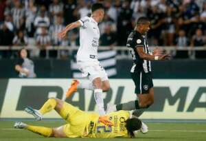 Botafogo não perdeu com ex-atacante da Ponte Preta em campo