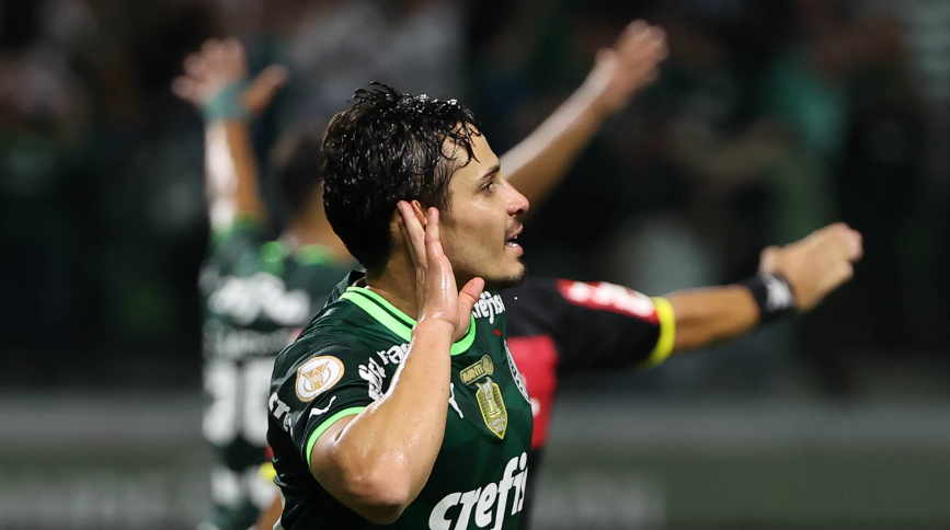 palmeiras veiga