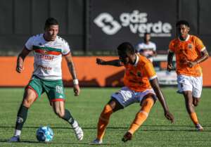 Enxame de abelhas coloca bombeiros para correr​ em jogo da Série D