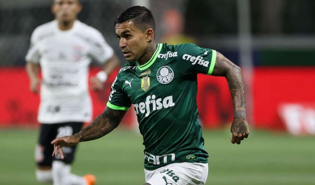 Dudu Palmeiras