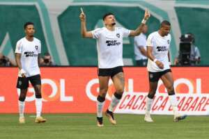 BRASILEIRÃO: Botafogo vence Palmeiras em duelo direto e se isola; Grêmio é vice-líder