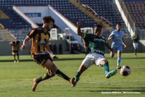 Paulista Sub-20: Novorizontino perde a segunda, apesar de bom jogo contra Palmeiras
