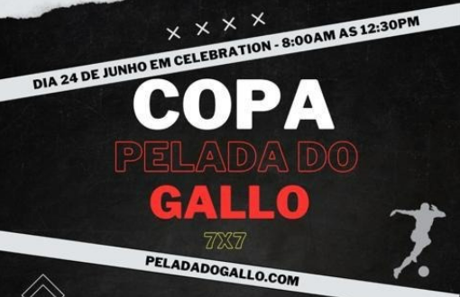 copa gallo