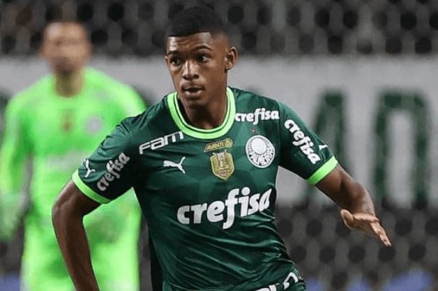 Luis Guilherme Palmeiras