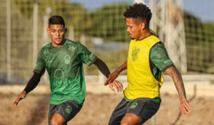 Floresta-CE x São Bernardo - Lobo recebe o líder e pode se complicar na degola