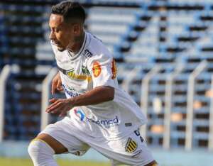 Novorizontino x Guarani - Confronto em busca da ascensão