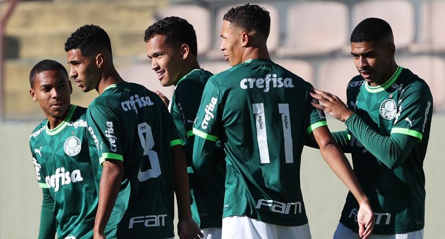 palmeiras 1