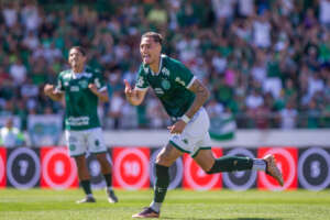 SÉRIE B: Guarani, Botafogo-SP e Mirassol entram em campo de olho no G4