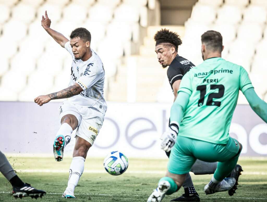 Marcos Leonardo marca dois em empate do Santos com o Botafogo (Foto: Divulgação/Santos)