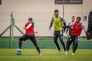 Figueirense-SC x Amazonas-AM - Onça-pintada joga em busca da liderança