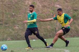 Brusque-SC x São Bernardo-SP - Bruscão busca resultado para sonhar com a liderança