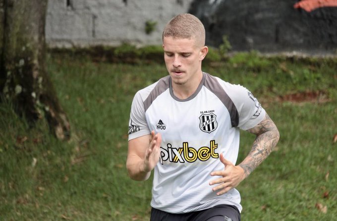 Leo Naldi Ponte Palmeiras