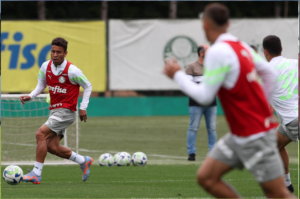 Marcos Rocha pede apoio da torcida por reação do Palmeiras; Rony e Dudu treinam