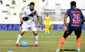 Ponte Preta x Novorizontino - Macaca tenta embalar para sair de perto da zona de rebaixamento