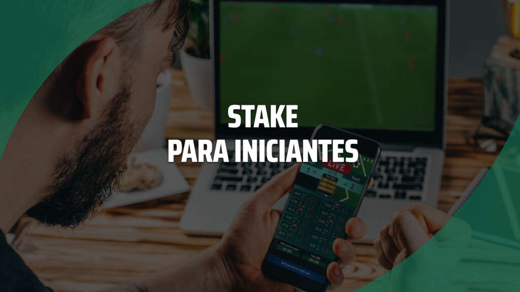 Stake para iniciantes: tudo o que você precisa saber