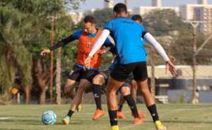 Londrina x Botafogo-SP - Pantera pega desesperado Tubarão para voltar pro 