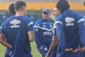 Avaí promete mais quatro reforços para a Série B
