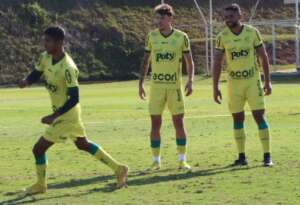 Mirassol x Tombense - Leão quer fechar o 1º turno na cola do G4